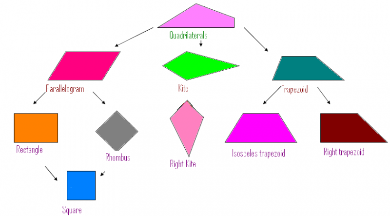Quadrilateral Shapes Chart